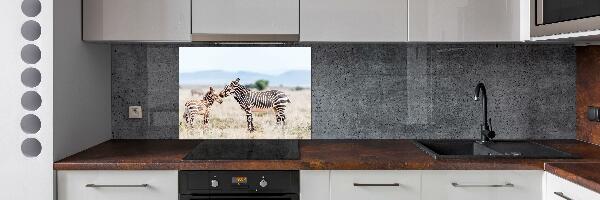 Cooker splashback Zebra in the mountains