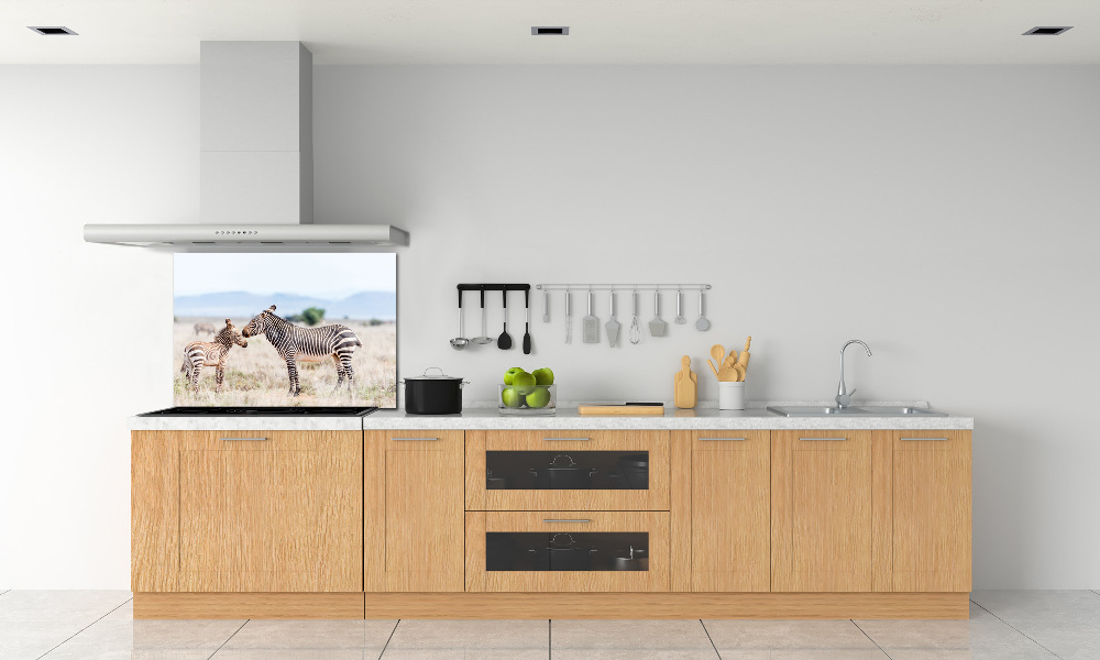 Cooker splashback Zebra in the mountains