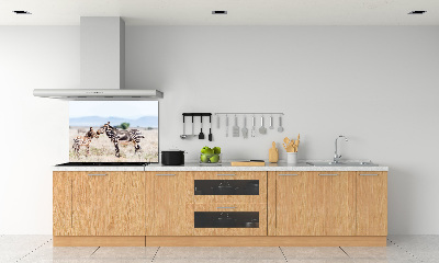 Cooker splashback Zebra in the mountains