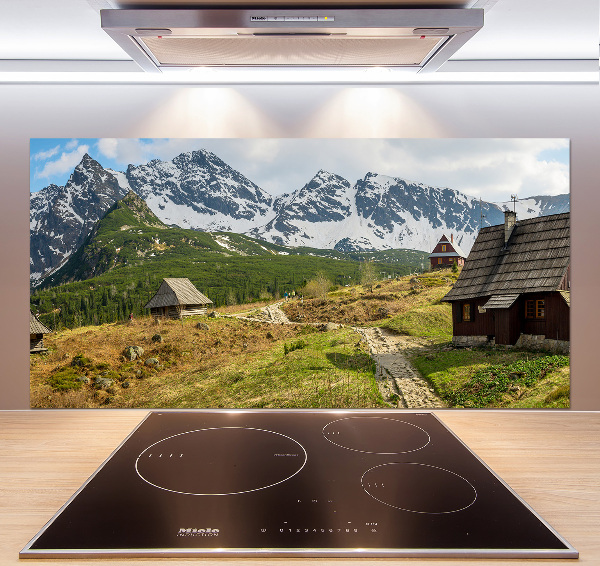 Cooker splashback Tatra Halls