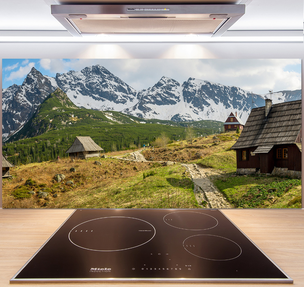 Cooker splashback Tatra Halls