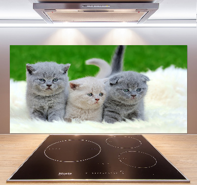 Cooker splashback Three cats on the blanket