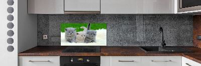 Cooker splashback Three cats on the blanket