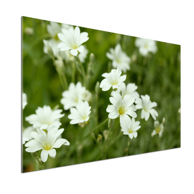 Kitchen wall panels Spring flowers