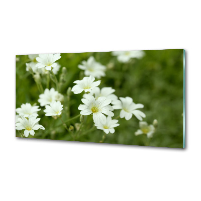 Kitchen wall panels Spring flowers