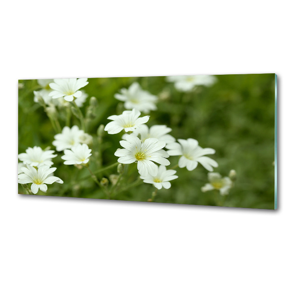 Kitchen wall panels Spring flowers