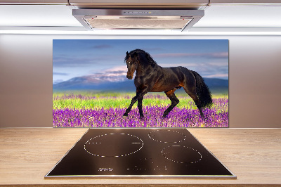 Cooker splashback Horse in the field of lavender