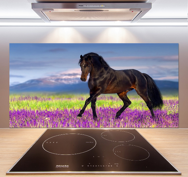 Cooker splashback Horse in the field of lavender