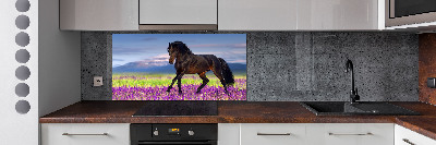 Cooker splashback Horse in the field of lavender