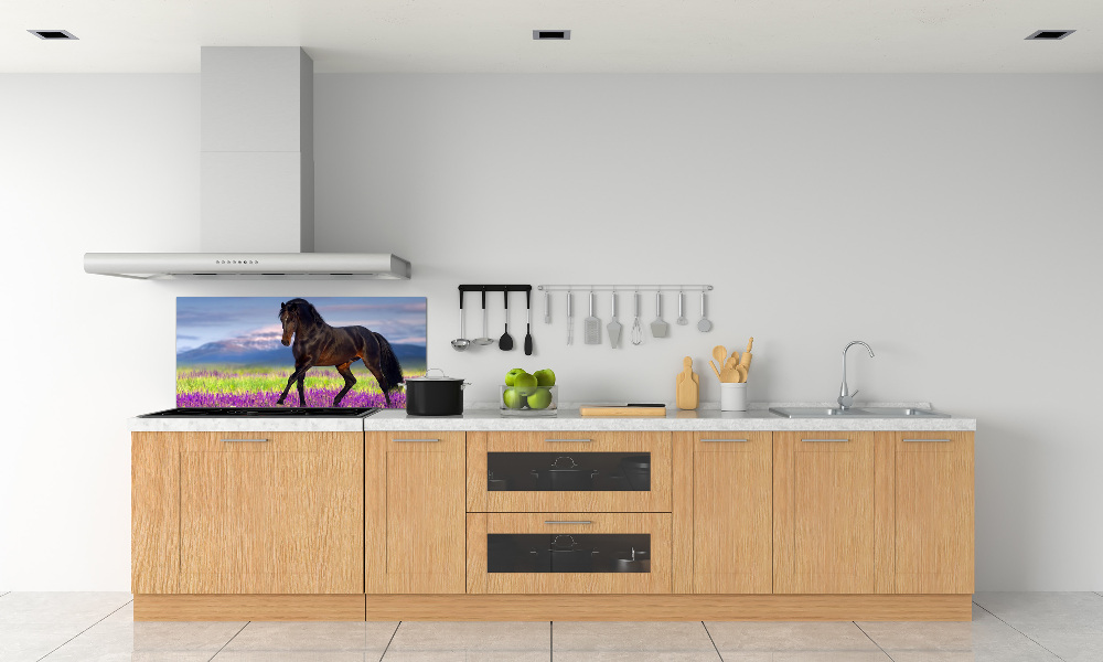 Cooker splashback Horse in the field of lavender