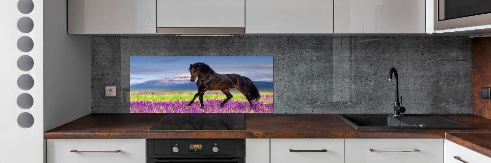 Cooker splashback Horse in the field of lavender