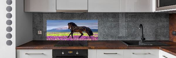 Cooker splashback Horse in the field of lavender