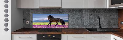 Cooker splashback Horse in the field of lavender