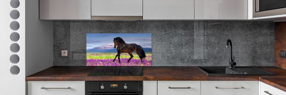 Cooker splashback Horse in the field of lavender