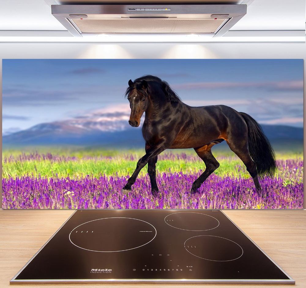 Cooker splashback Horse in the field of lavender