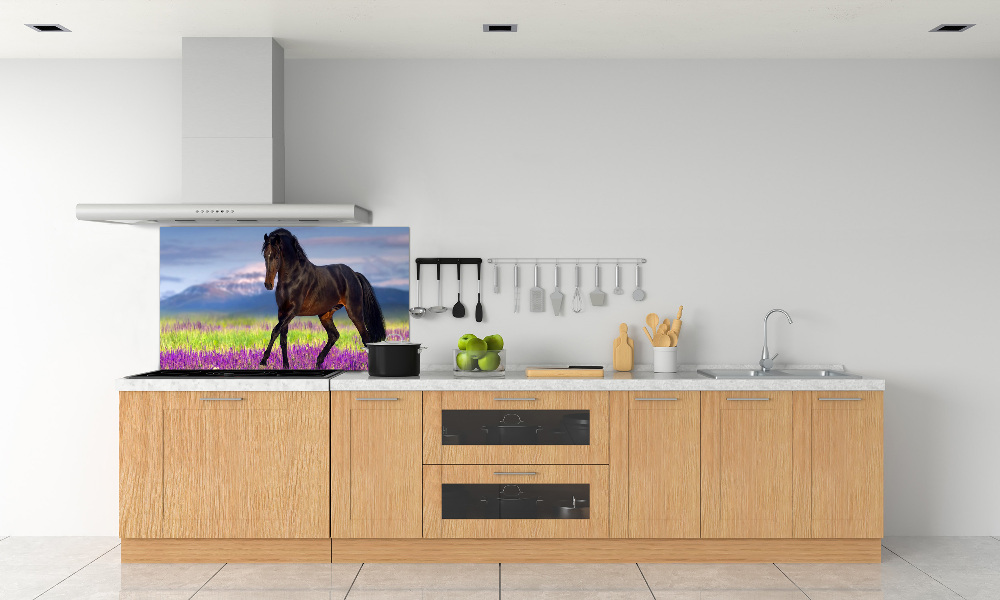 Cooker splashback Horse in the field of lavender