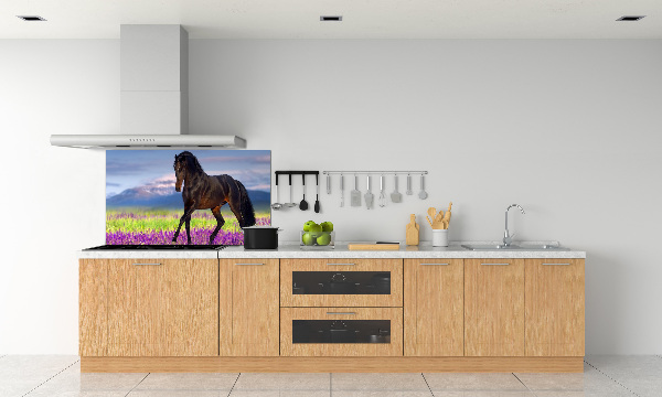 Cooker splashback Horse in the field of lavender