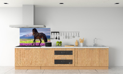 Cooker splashback Horse in the field of lavender