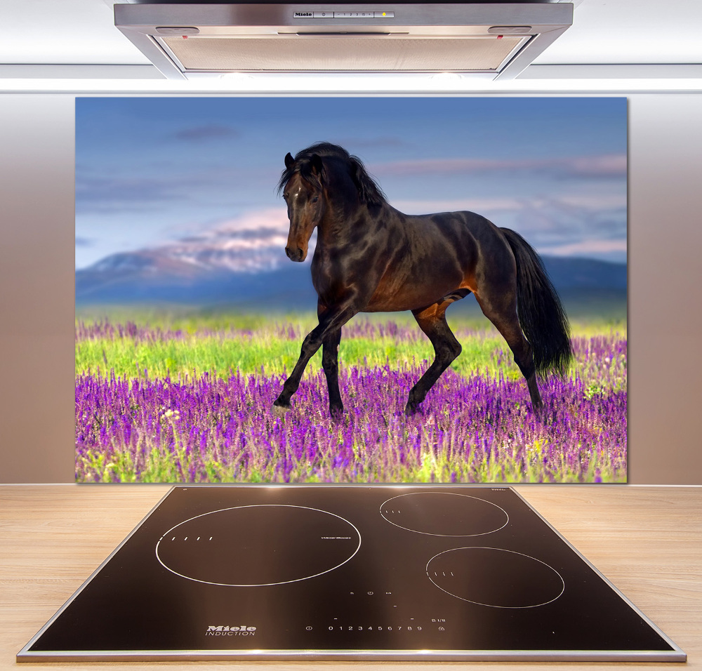 Cooker splashback Horse in the field of lavender