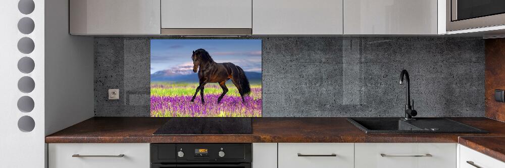 Cooker splashback Horse in the field of lavender