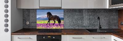 Cooker splashback Horse in the field of lavender