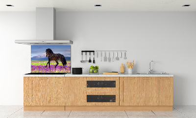 Cooker splashback Horse in the field of lavender