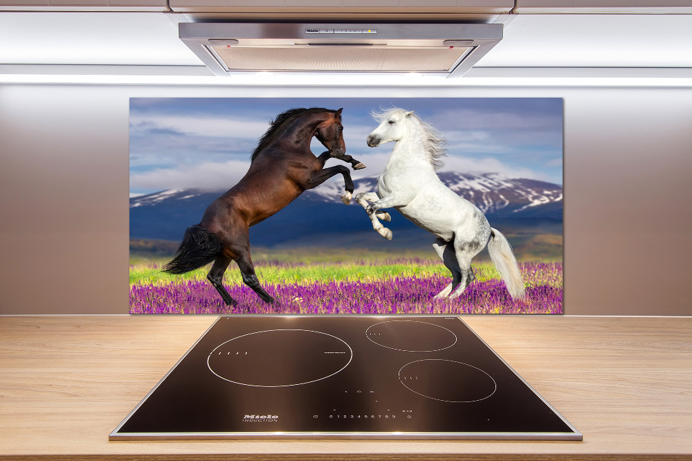 Cooker splashback Fighting horses mountains