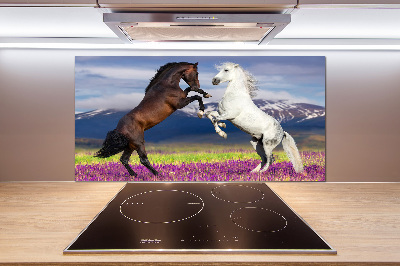 Cooker splashback Fighting horses mountains