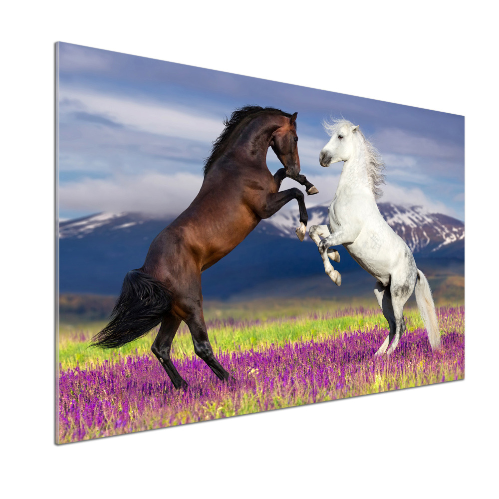 Cooker splashback Fighting horses mountains