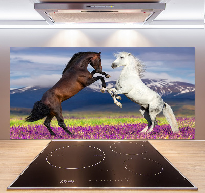 Cooker splashback Fighting horses mountains