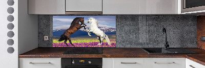 Cooker splashback Fighting horses mountains