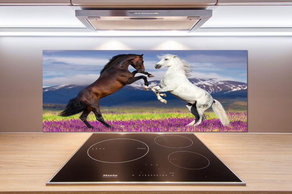 Cooker splashback Fighting horses mountains