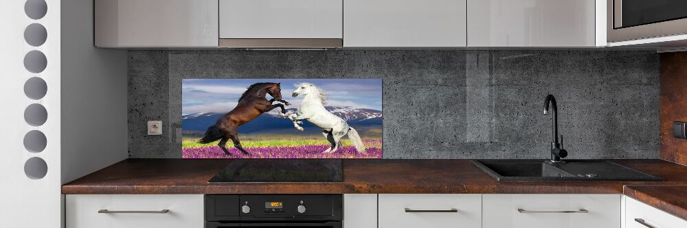 Cooker splashback Fighting horses mountains