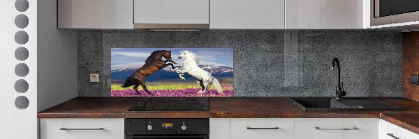 Cooker splashback Fighting horses mountains