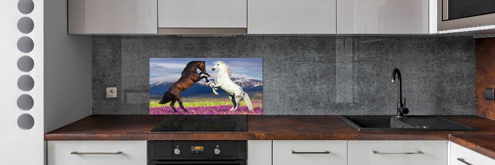 Cooker splashback Fighting horses mountains