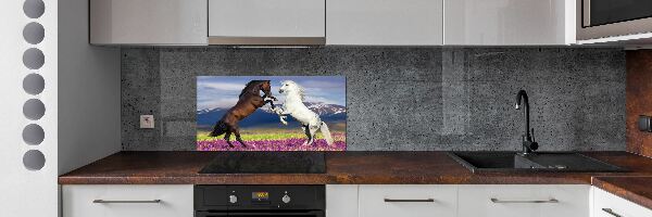 Cooker splashback Fighting horses mountains