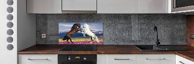 Cooker splashback Fighting horses mountains