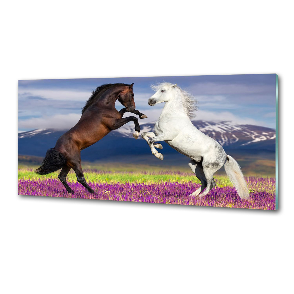 Cooker splashback Fighting horses mountains