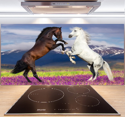 Cooker splashback Fighting horses mountains