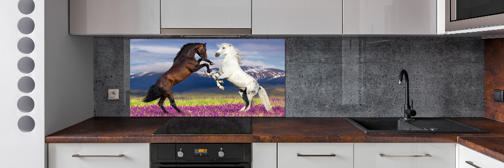 Cooker splashback Fighting horses mountains