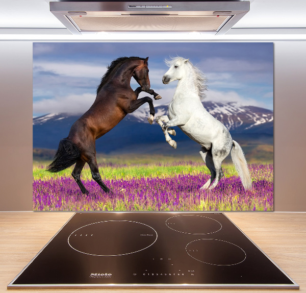 Cooker splashback Fighting horses mountains