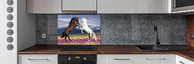 Cooker splashback Fighting horses mountains