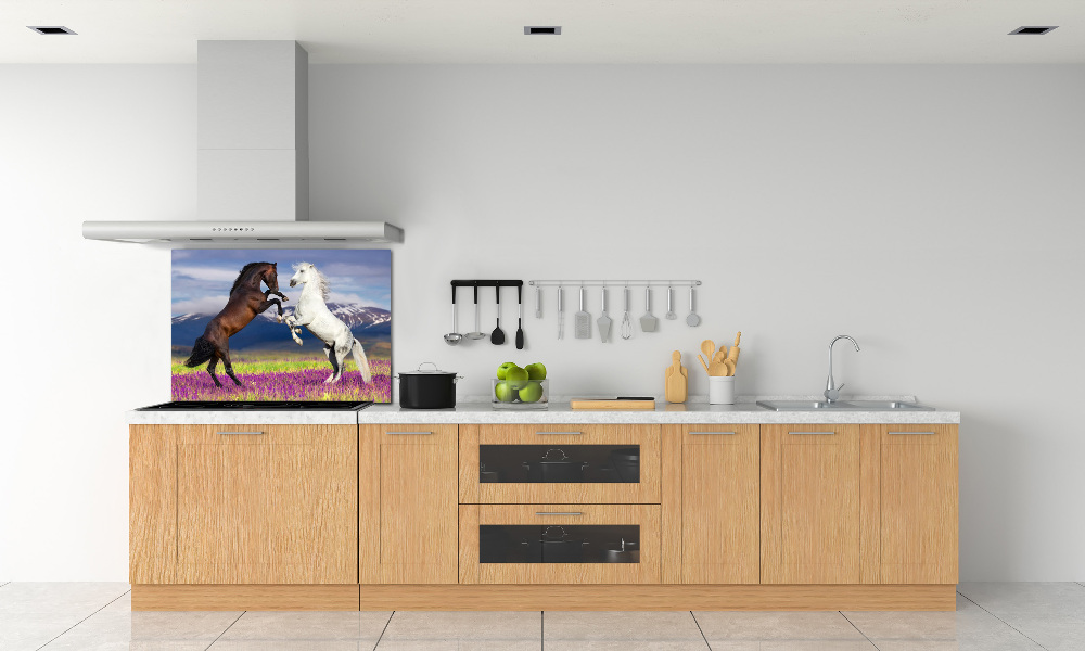 Cooker splashback Fighting horses mountains