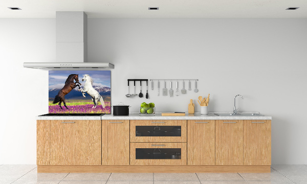 Cooker splashback Fighting horses mountains