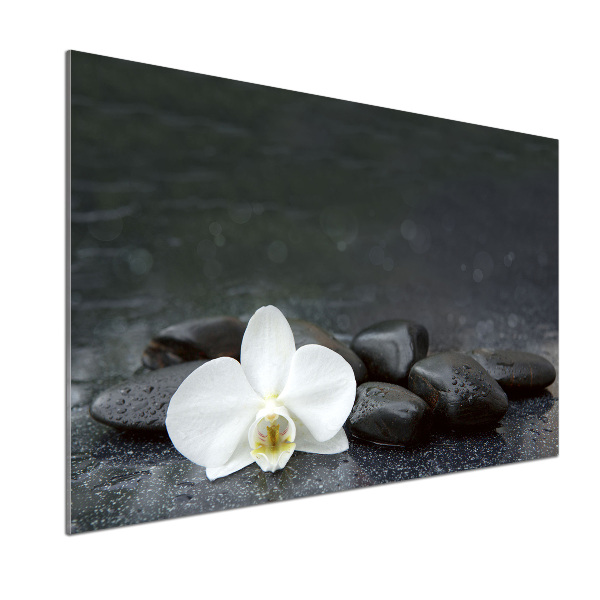 Hob splashback Orchid