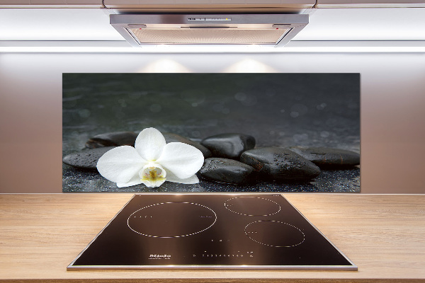 Hob splashback Orchid