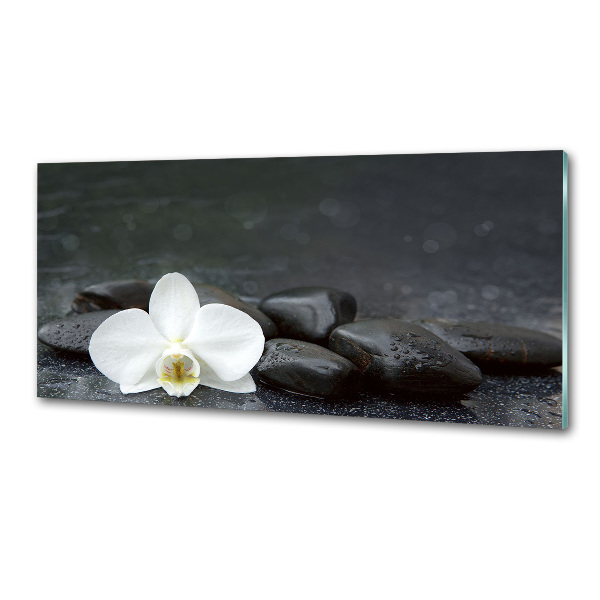 Hob splashback Orchid