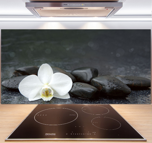 Hob splashback Orchid