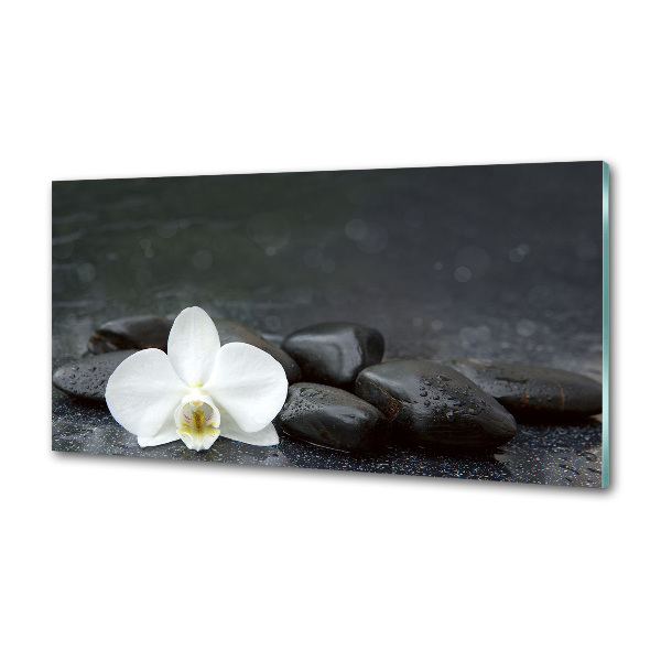 Hob splashback Orchid