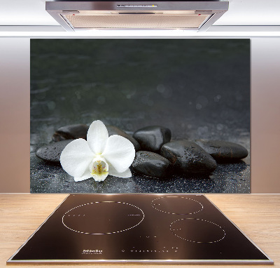 Hob splashback Orchid